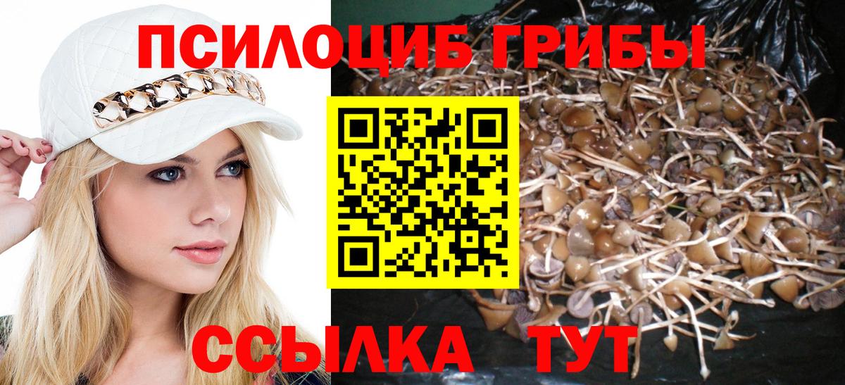 Псилоцибиновые грибы Cubensis Артём