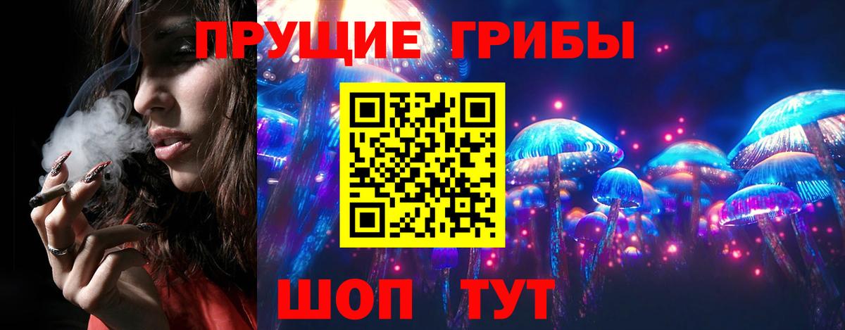 Псилоцибиновые грибы GOLDEN TEACHER  Артём  Галлюциногенные грибы прущие грибы 